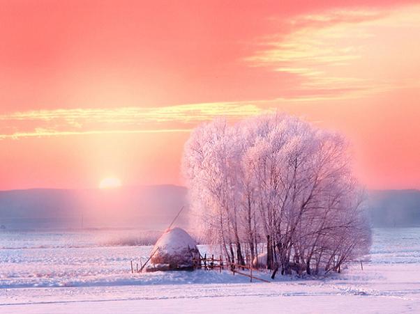 Winter-Colors-7