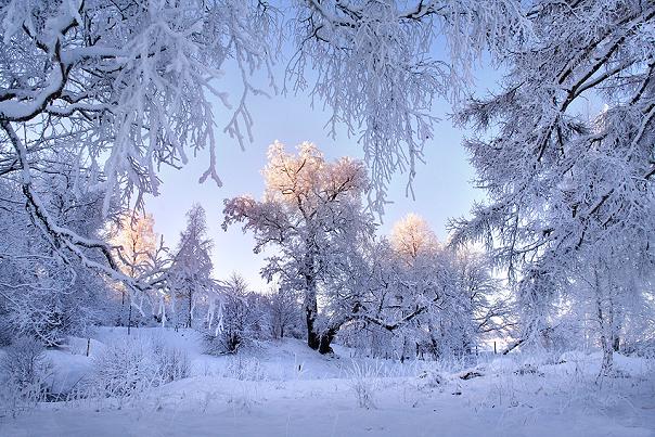Winter-Colors-9
