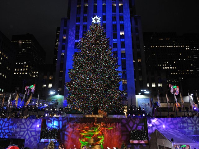 albero1 albero1