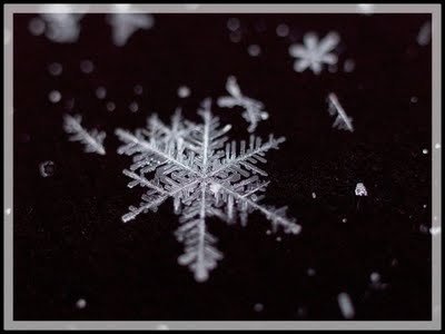 beautiful_snowflakes_04