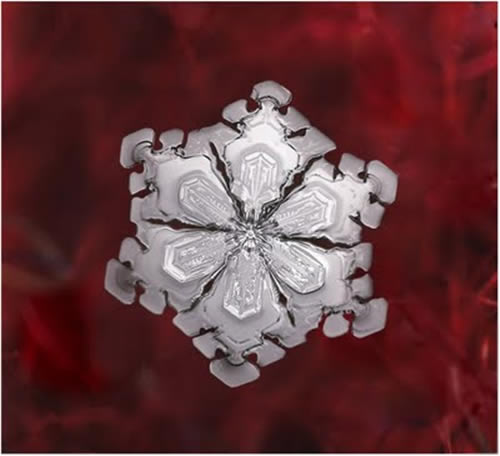 beautiful_snowflakes_12 beautiful_snowflakes_12