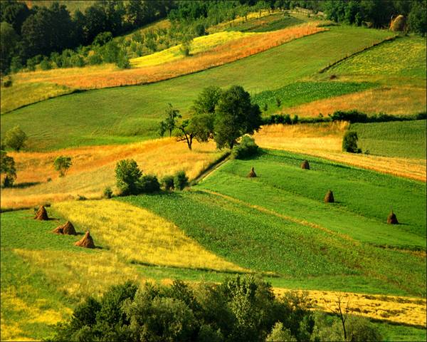 katarina-stefanovic-landscapes14