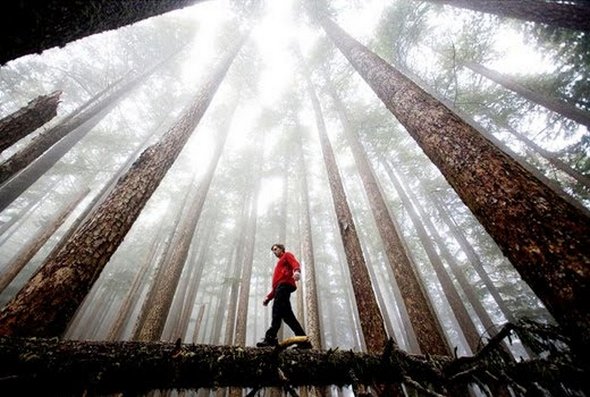 national-geography-stunning-contest-winning-phogographs-18 national-geography-stunning-contest-winning-phogographs-18