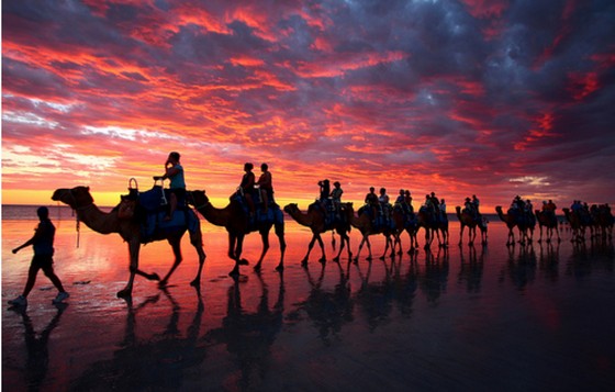 sunset1 sunset1