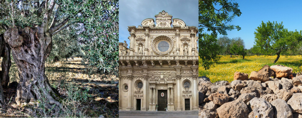 Tour dell'olio e della memoria a cura di Calos Irte