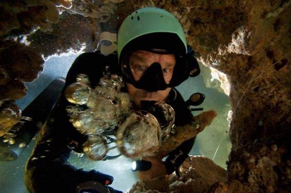 underwater-caves-in-bahamas19