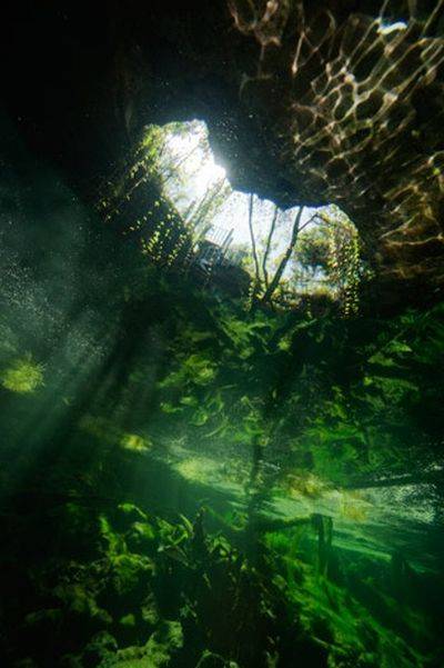 underwater-caves-in-bahamas21