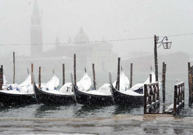 venezianeve