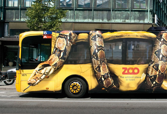 zoobus0 zoobus0